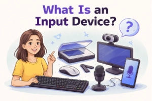 What Is An Input Device A Complete Guide to Work Smarter